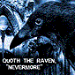 raven